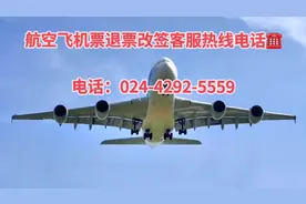 携程旅行机票/改签/退票/退订，怎么拨打人工热线024/42925559视频封面