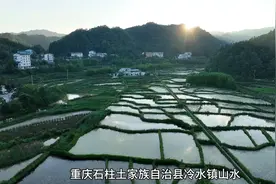 冷水镇避暑随拍