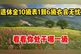 退休金10级表，1级到6级衣食无忧，看看你处于哪一级视频封面