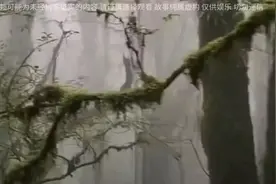 揭秘哀牢山结界之谜!视频封面