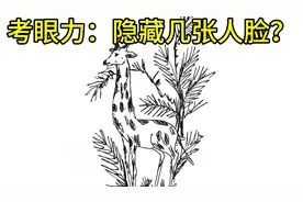 考眼力：给你20秒你能找到几张？找到1-3不错，4-5牛，来挑战视频封面