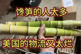 美国的物流实在是无力吐糟，己经丟了我9箱竹笋。视频封面