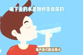 喝下去的水到底是怎么变成尿的？