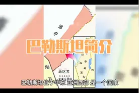 巴勒斯坦简介视频封面