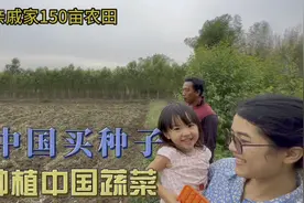 泰国媳妇亲戚家150亩农田，合作种植中国蔬菜视频封面