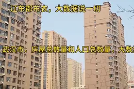 武汉市，房屋总数量和人口总数量，相关的大数据分析。视频封面