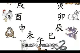 户主生肖属相与房屋朝向的关系视频封面