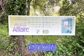 鳶尾花園一年一度免費開放給民眾參觀、鳶尾花（Iris flowers)。视频封面