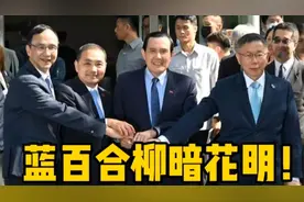 马英九发挥余热，蓝百合柳暗花明！