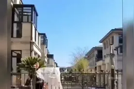 人不要脸鬼都害怕！大妈种菜到别人院子还一脸嚣张视频封面