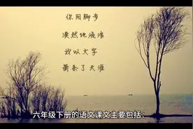 六年级下册语文书视频封面