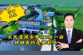 农民灌溉水费600块钱一亩，种田真的是暴利行业吗视频封面