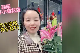 百合盆栽的养护技巧视频封面