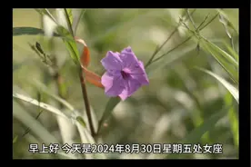 今日节日，名人诞生，名人名言，8月30日