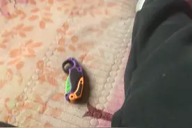 爪刀和蝴蝶刀教学