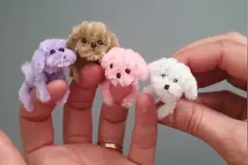 用扭扭棒做迷你小狗狗，可爱又好玩，快学起来吧～