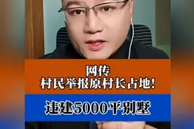 违建500平米别墅？是座宫殿吗？ #村民实名举报原村长违法占地 #视频封面