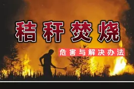 农村秸秆焚烧危害大，环境污染不容小觑！解决办法#科普#小妙招视频封面