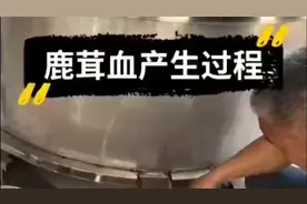 梅花鹿茸血！纯鹿茸血！梅花鹿之乡