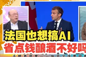 深入分析，欧洲人工智能发展情况解读。视频封面