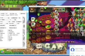 植物大战僵尸e版支线电脑版6-6手机上操作（todesk）视频封面