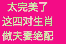 太完美了这四对生肖，做夫妻是绝配，快来看看吧?视频封面