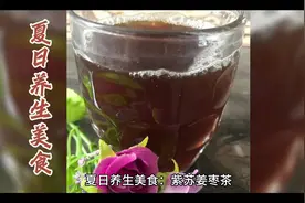 清凉夏日养生茶，紫苏姜枣茶，给你健康好心情！