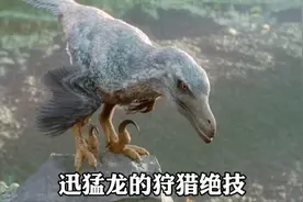 三头迅猛龙悬崖峭壁狩猎翼龙，老大智夺猎物，两个小弟被围殴！视频封面