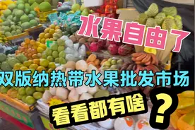 西双版纳旅居让我热带水果自由了，太便宜花了320元，都买啥了视频封面