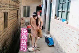 杀鸡很简单啦，做到二点就行了，下刀穴位和口决，鸡就躺板板