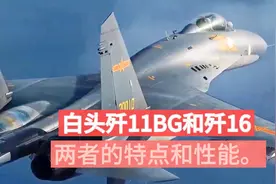 白头歼11BG和歼16两者的特点和性能曝光视频封面