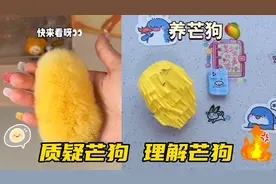 现在流行养芒狗？听说毛茸茸的超级可爱，不用芒果用纸就能养芒狗