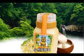 「森林小宝藏，小熊找蜂蜜」