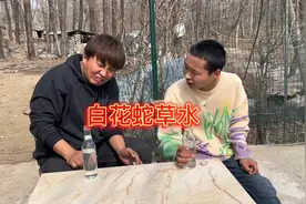 给弟弟和老公买白花蛇草水消消毒，结果弟弟喝完直接晕了！好害怕