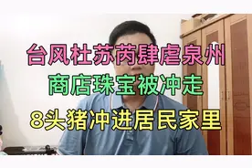 台风杜苏芮肆虐泉州，珠宝被洪水冲走，暴雨将8头猪冲进居民家里