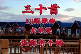 三十首歌，DJ版歌曲大串烧，让你听个够！