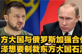 东方大国与俄罗斯加强合作
小泽想要制裁东方大国石油
