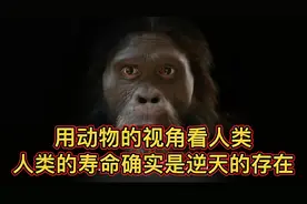 用动物的视角看人类，人类的寿命确实是逆天的存在#人的寿命#视频封面