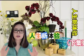 推销自家淘汰的家居饰品，遇到各种有趣儿的人和事儿，生活小乐趣视频封面