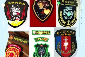 中国特种兵徽章欣赏  中国特种兵天下第一  雄霸世界之巅视频封面