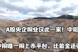 A股央企铜业仅此一家！中铝、中铜唯一铜上市平台，比紫金还强？视频封面