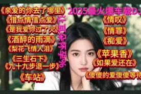 2025最火爆车载DJ，带你穿越爱恋的每一首歌！