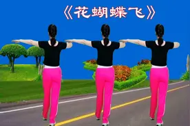 DJ健身操《花蝴蝶》每天坚持20分钟，改善手脚灵活性视频封面