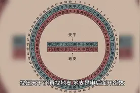 “五运六气”支干支记数法知识分享学习视频封面