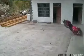 旧时王谢圣骑士，飞入寻常百姓家视频封面