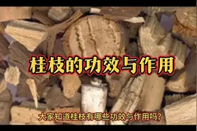 桂枝的功效与作用视频封面