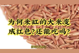 家里米缸大米久放变红，这些煮熟真的还能吃吗？视频封面
