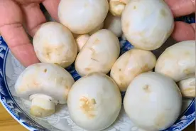 这才是口蘑最好吃的做法，做法简单，营养丰富，小孩3天2头点名吃