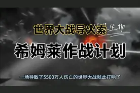 二战之谜—世界大战导火索“希姆莱作战计划”视频封面