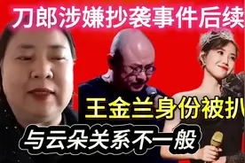 刀郎“抄袭”后续，王金兰身份曝光，竟与云朵关系匪浅🍒🍊视频封面